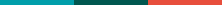 CFHP_StarKids_ColorBar_222x5