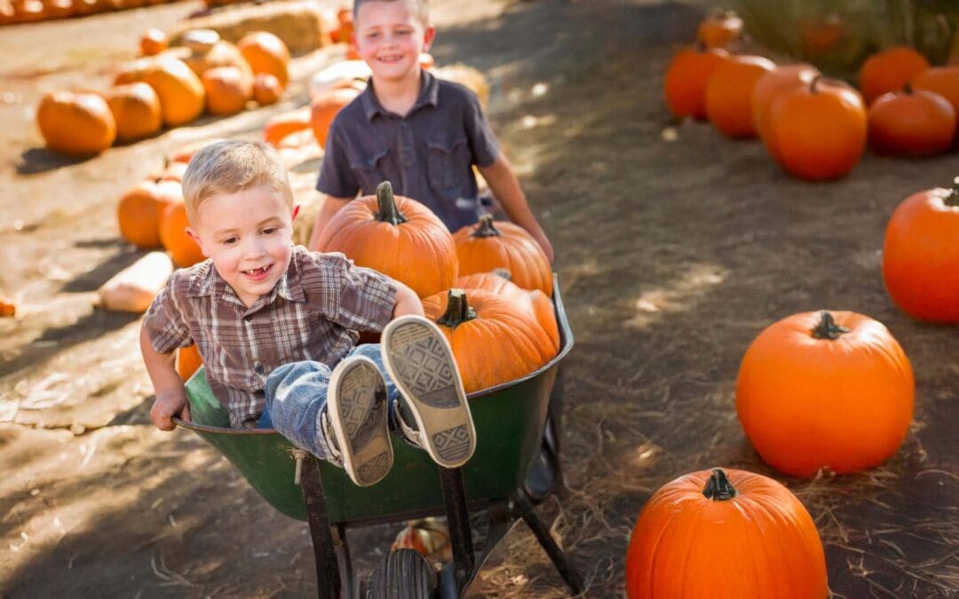 Happy Fall, Y’all! Your Guide To FREE Local Fall Fun